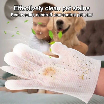 Dry cleaning disposable glove for pets