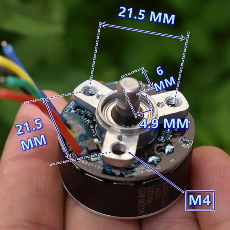 Electric brushless motor with PWM speed control driver