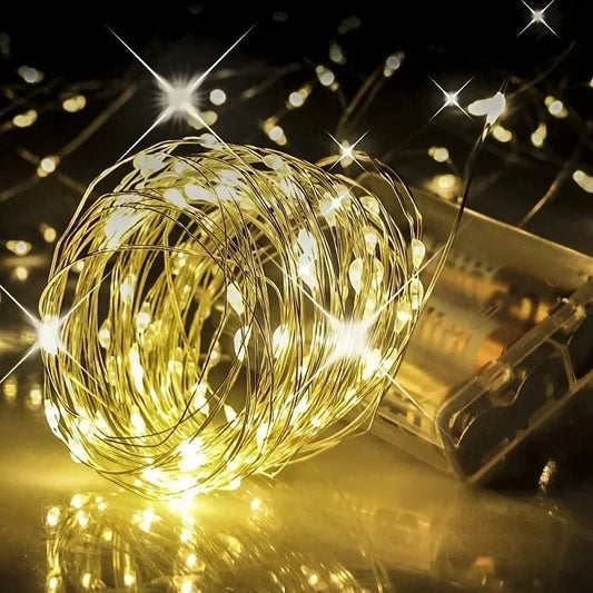 Fairy LED copper wire string lights for decoration