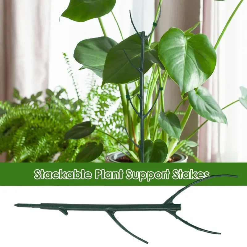 Garden plant stake holder for support