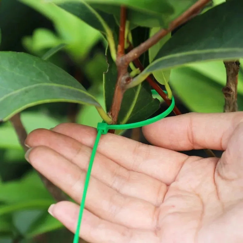 Plastic nylon cable ties set for home use