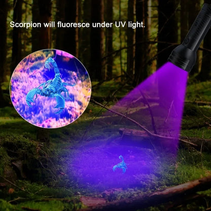 Portable UV inspection light for pet stains