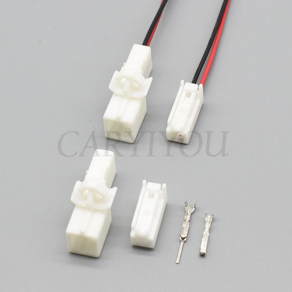 Close-up of 2 pin terminals for automotive reader coil and light socket connector