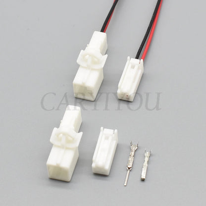 Close-up of 2 pin terminals for automotive reader coil and light socket connector