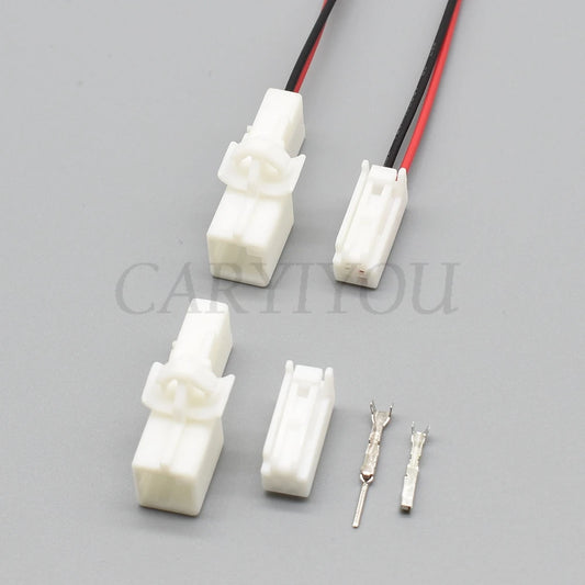 Close-up of 2 pin terminals for automotive reader coil and light socket connector