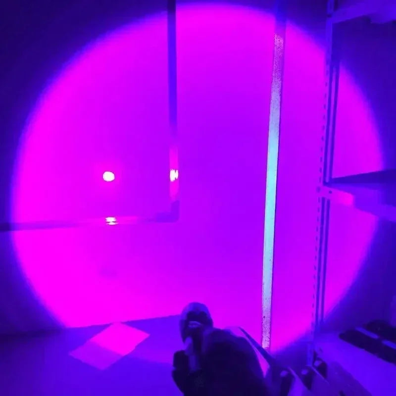 USB rechargeable ultraviolet flashlight