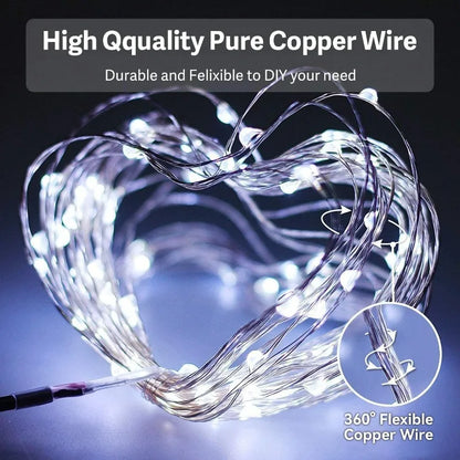 Fairy string lights for wedding and home decoration
