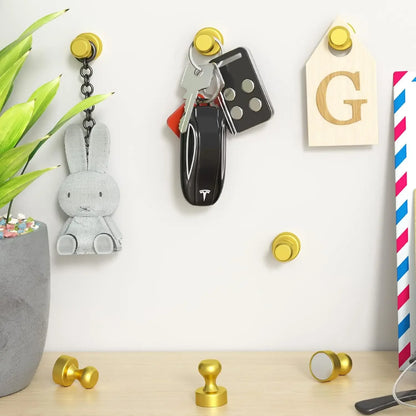 Close-up of neodymium magnetic push pins for whiteboard, fridge, and office organization