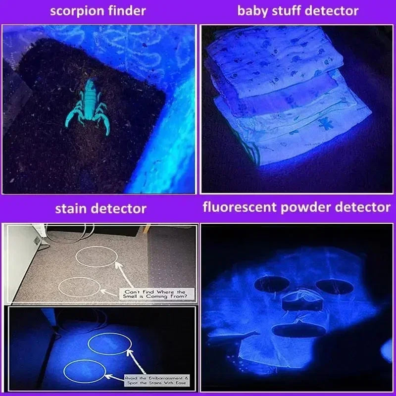 Zoomable UV blacklight flashlight