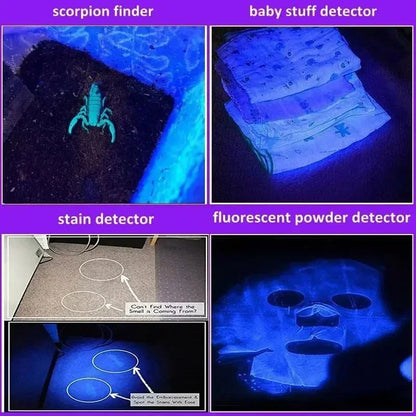 Zoomable UV blacklight flashlight